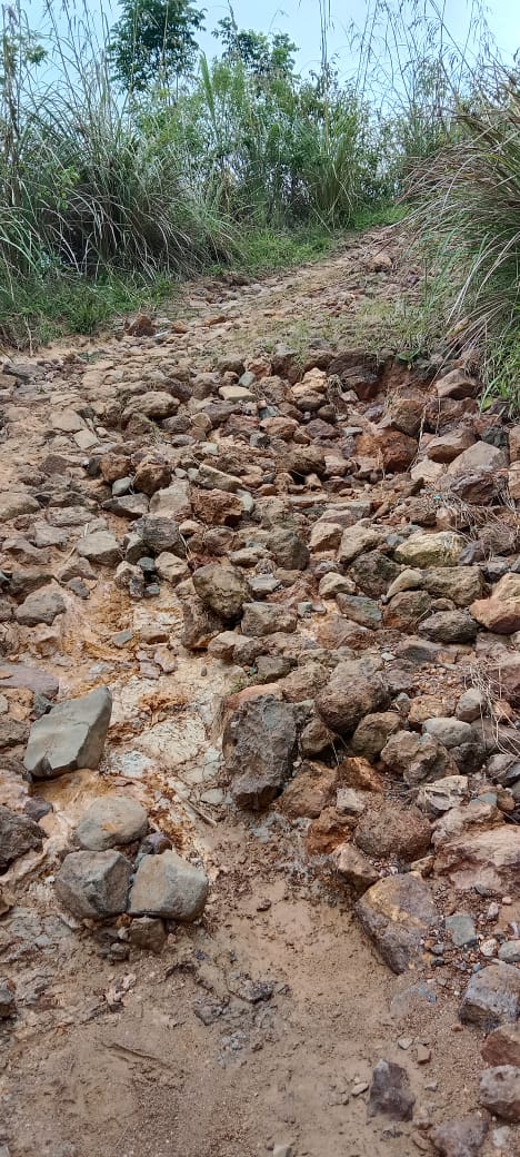 Jalan Tak Kunjung  Diperbaiki , Masyarakat  Desa Compang Laho Kecamatan Lamba Leda Selatan Menderita