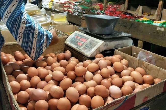 Harga Telur di Maros Turun Jelang Maulid