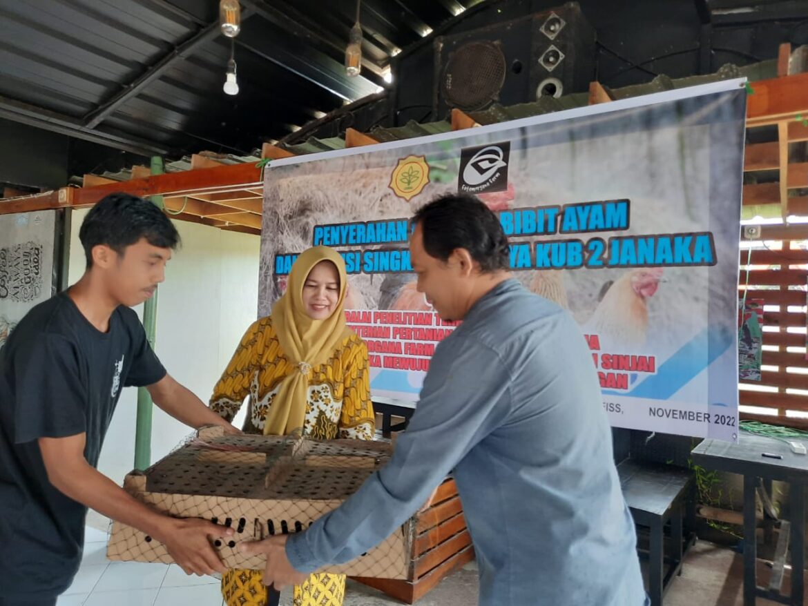 Wabup Sinjai Serahkan Bantuan Bibit Ayam dari Balitnak