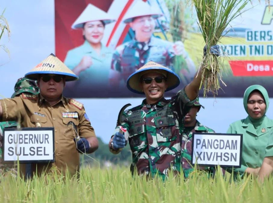 Pangdam XIV Hasanuddin Gelar Panen Raya Di Kecamatan Simbang Kabupaten Maros