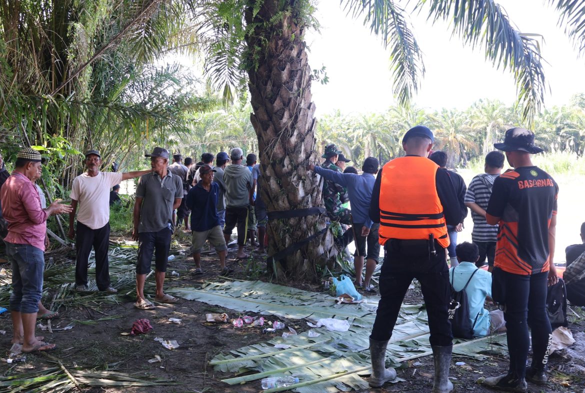 Pria Mateng Diterkam Buaya Saat Pasang Pukat di Muara Sungai