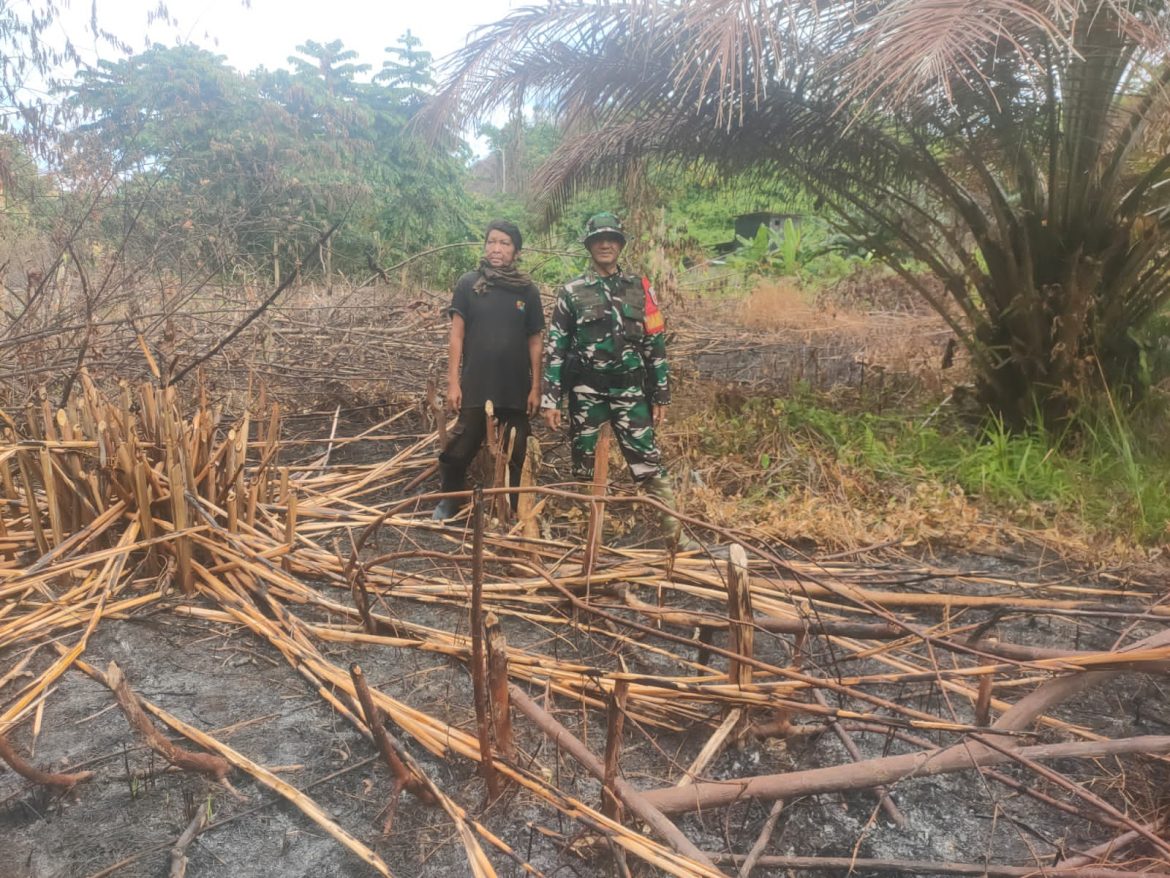 Sijago Merah Lalap Kebun Warga Sampe Rata Jadi Abu