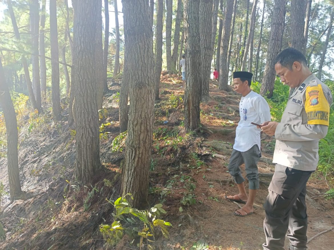 Gerak Cepat Personil Polsek Tapango Langsung Mendatangi TKP Kebakaran Hutan Pinus 