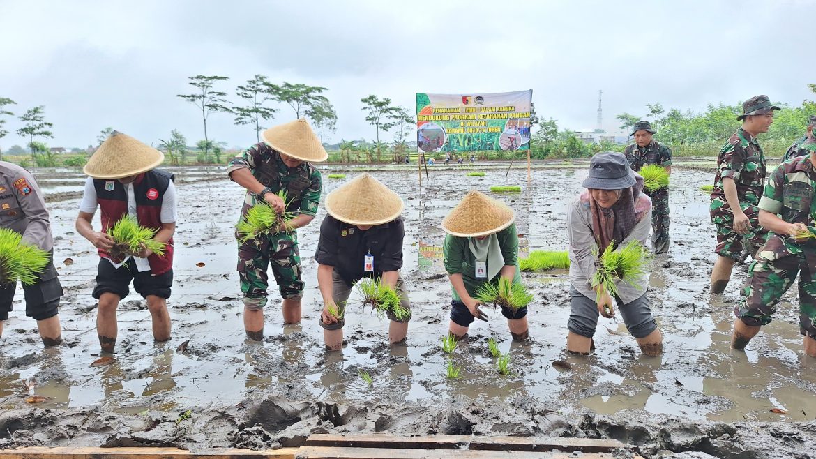 Dr. Nurdiah: Jestro Sambut Baik Dukungan TNI Pada Program Ketahanan Pangan