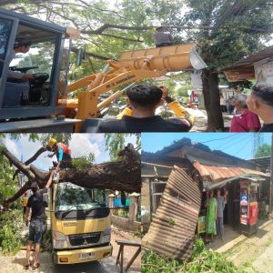 Pohon besar tumbang menimpa sebuah mobil truk kampas dan sebuah kios di jalan poros katimbang 