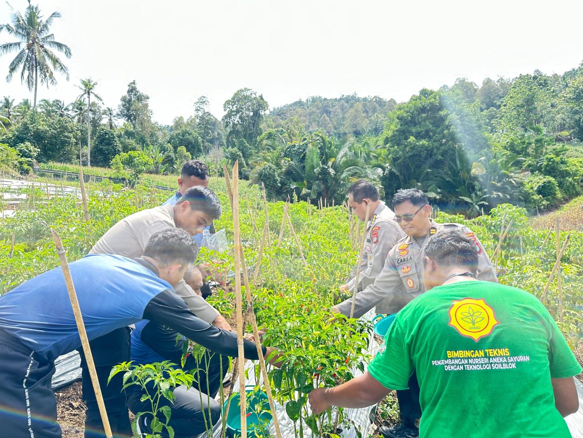 Kebun Ketahanan Pangan Biddokkes Polda Sulbar: Menumbuhkan Ekonomi Dan Kesejahteraan Masyarakat