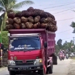 Kasat Lantas Dinilai Gagal Tertibkan Truk Overload Di Mamuju Tengah Pemerintah Harus Ambil Langkah.!