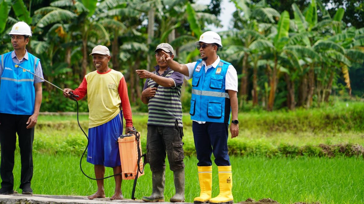 Program Listrik PLN Masuk Sawah Buat Petani Untung Berlipat