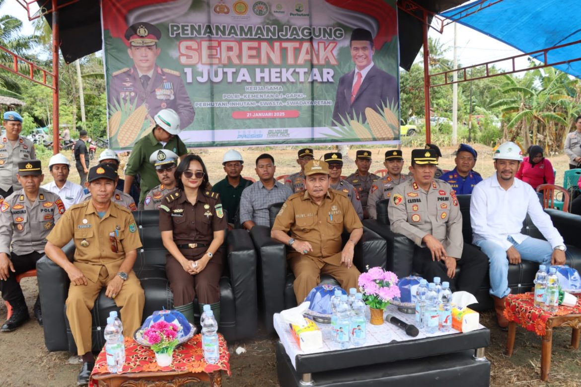 Bupati Pasangkayu Dukung Kegiatan Penanaman Jagung Satu Juta Hektar